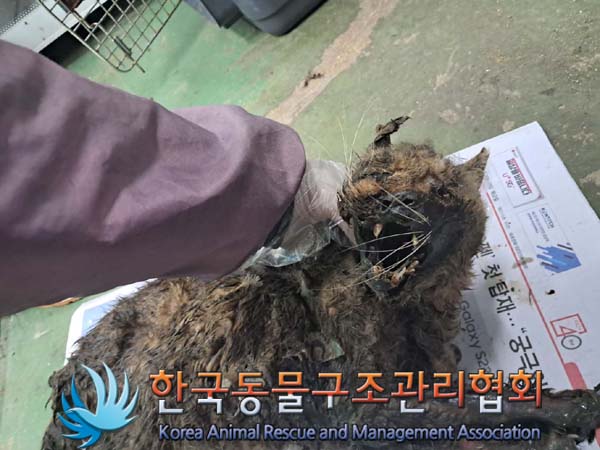 한국동물구조관리협회_411307202400459